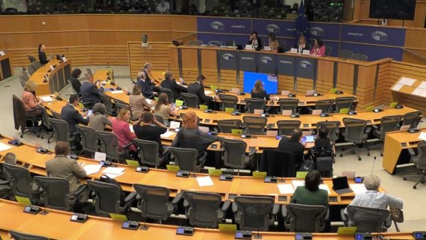 Comisión de Peticiones del Parlamento Europeo (PE)