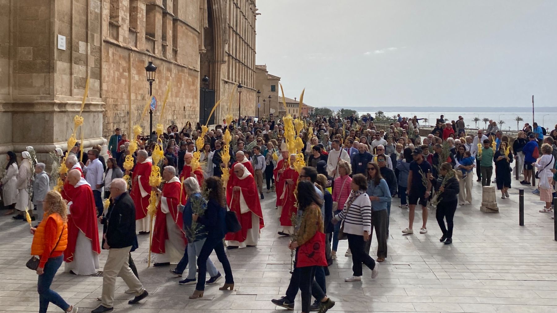 La procesión del Domingo de Ramos junto a la Catedral de Palma.
