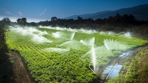 La importancia de la ciencia del suelo en la agricultura sostenible
