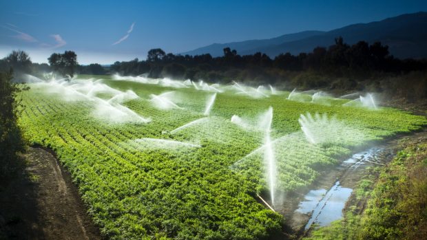 Agricultura y agua