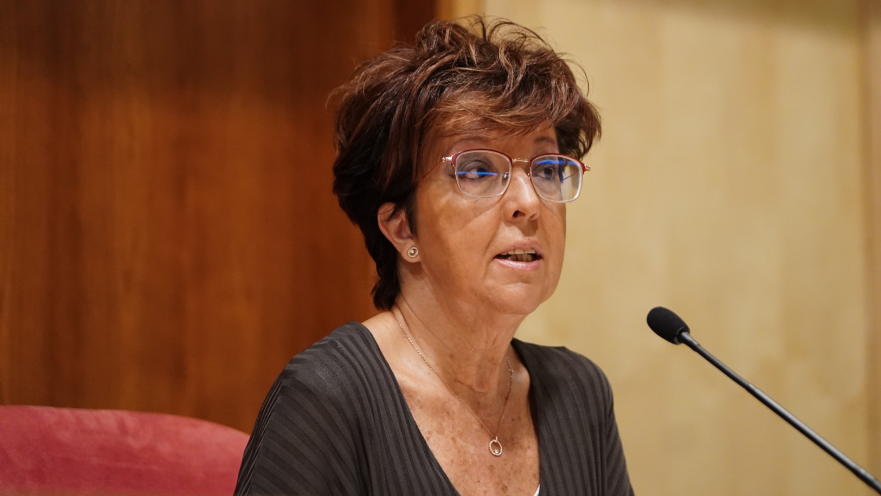 La directora general de Salud Pública de Madrid, Elena Andradas.