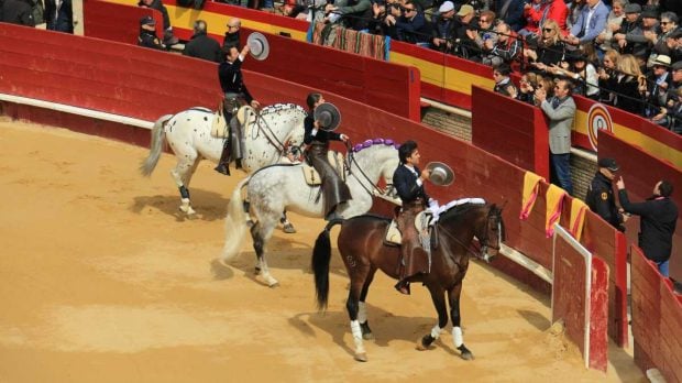 Toros a caballo