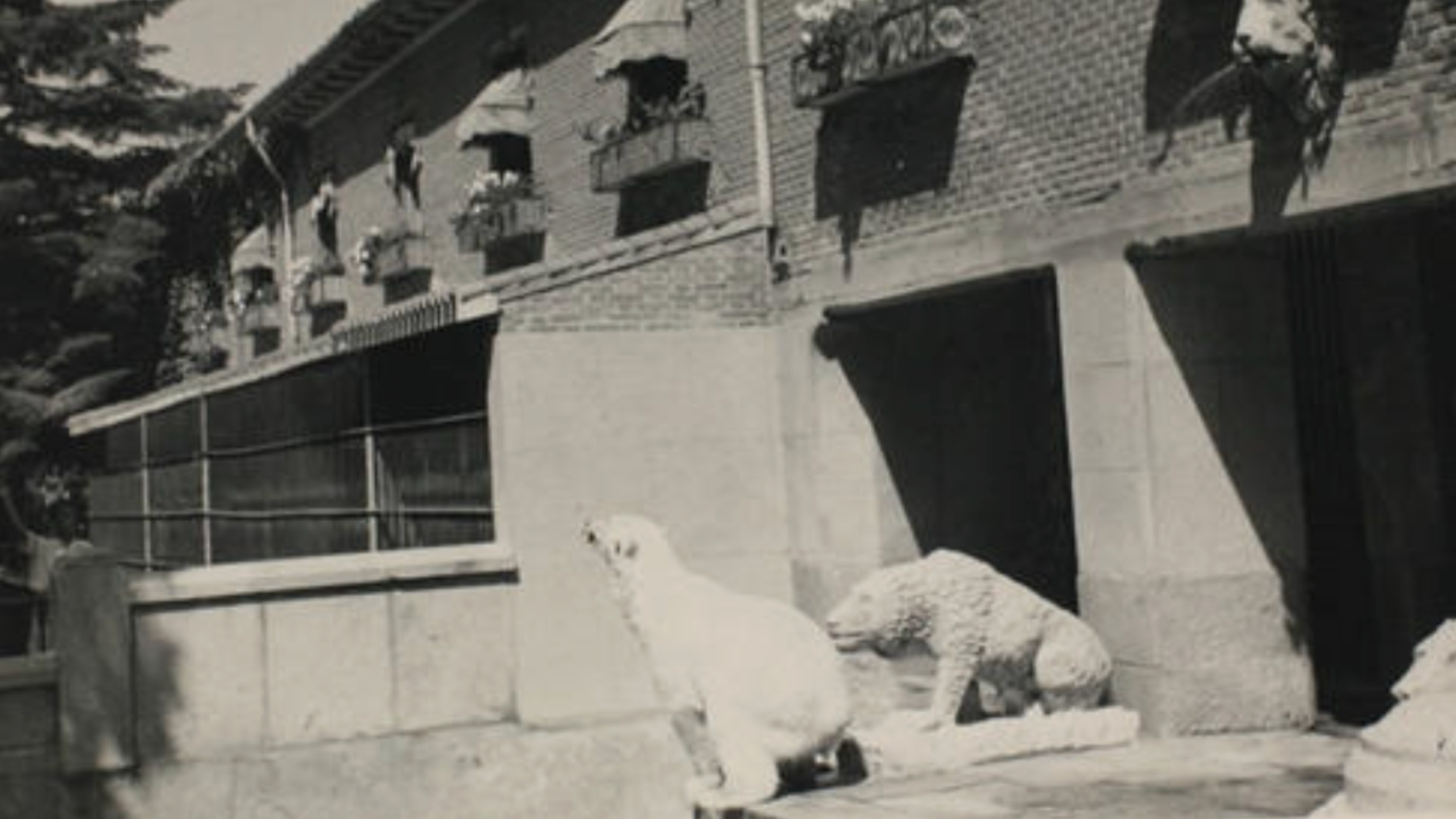Casa de Fieras en 1960. (Foto: Comunidad de Madrid).