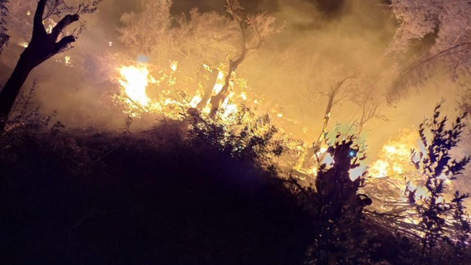 Incendio forestal en la zona de Bens d’Avall, Sóller.