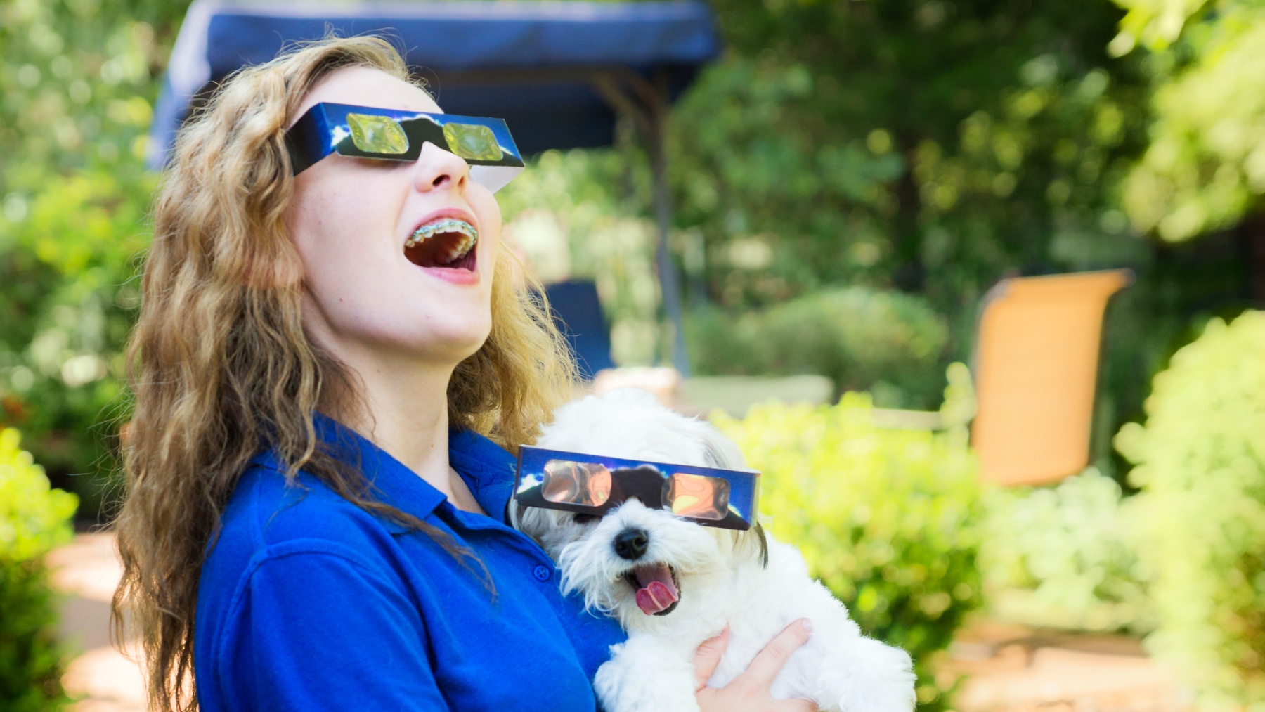 No es necesario que le pongas protección a tu mascota, pero sí debes seguir algunos consejos durante un eclipse solar