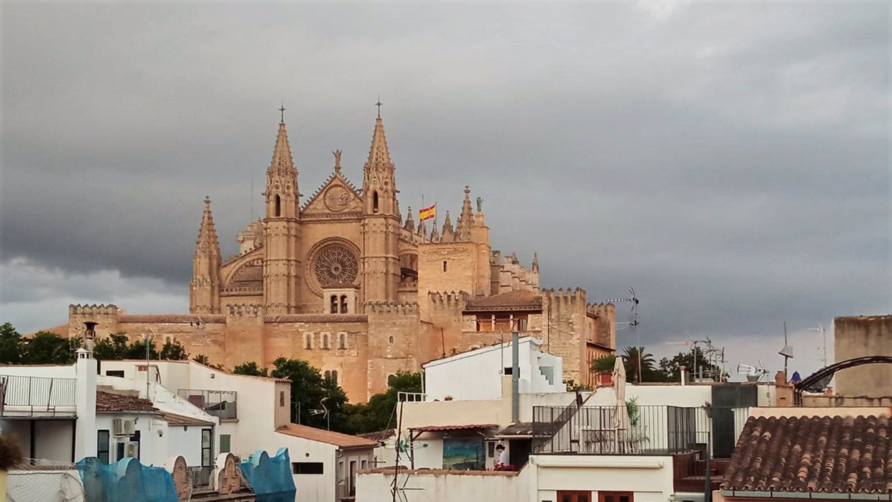Vista de la Catedral de Mallorca.