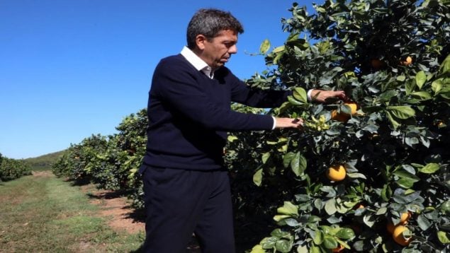 Mazón Agricultura Bruselas