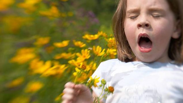 alergia polen niños