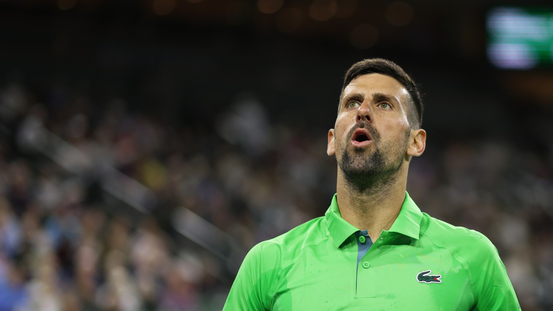 Novak Djokovic, en un partido. (Getty)