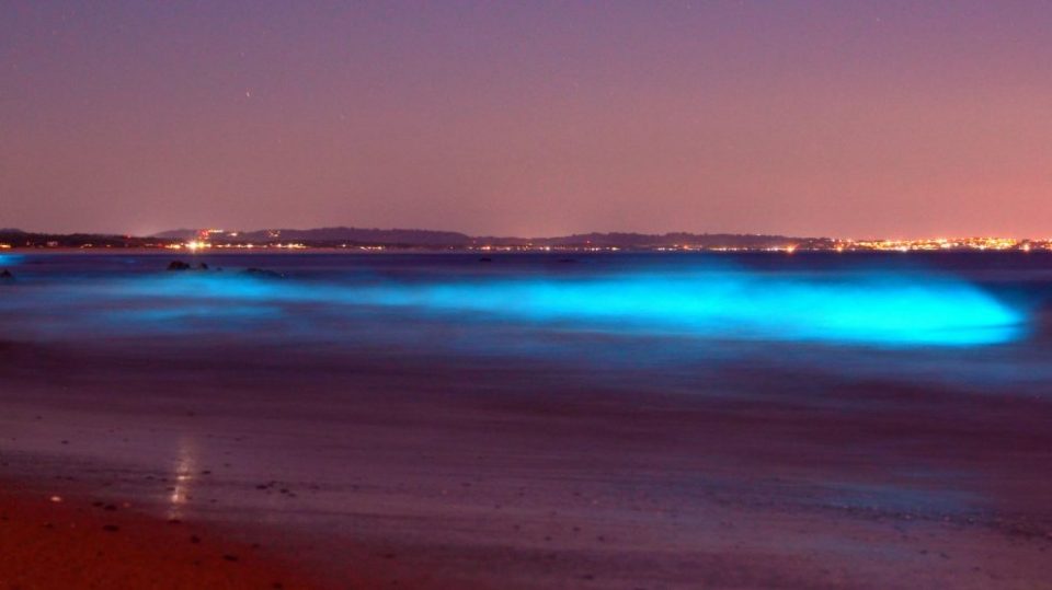 Scientists explain why the water on this beach lights up at night: It sounds like science fiction
