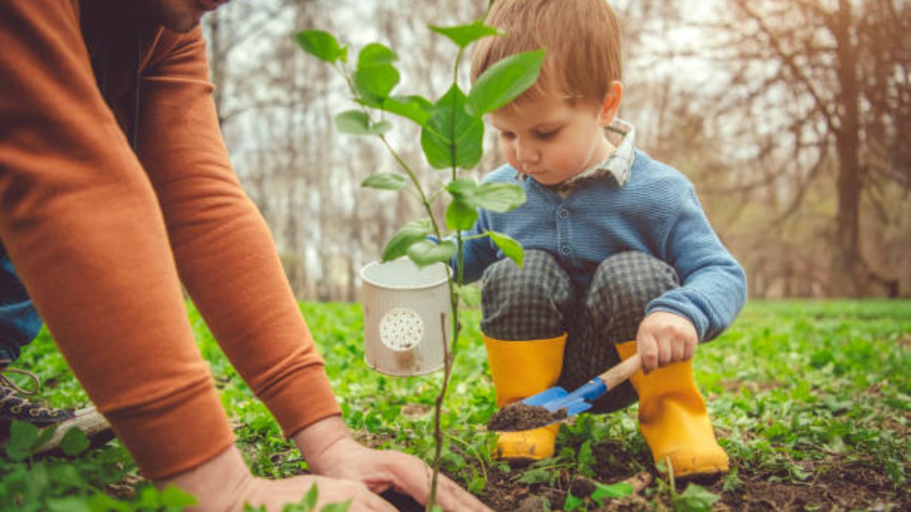 Distintas actividades de educación ambiental para hacer con los niños en primavera.