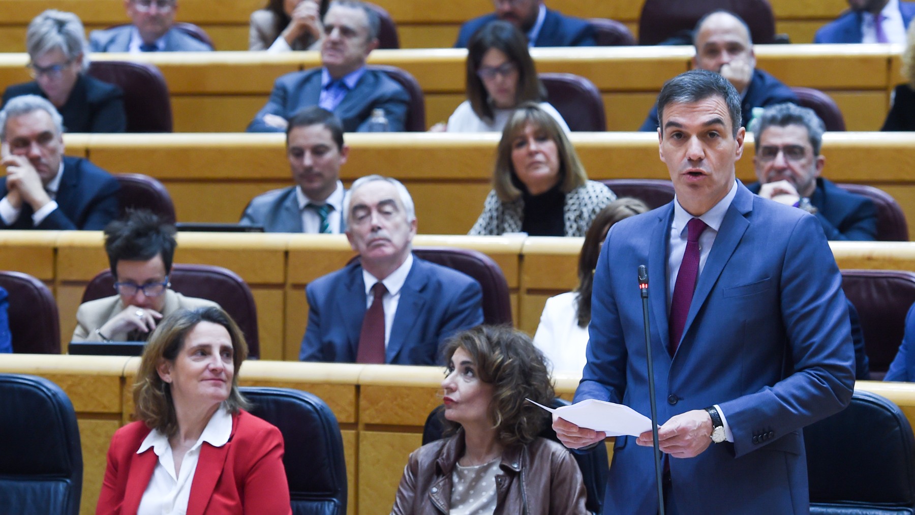 Sánchez en el Senado. (Foto: EP)