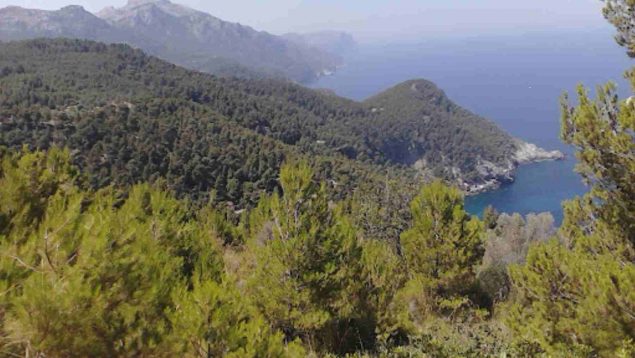 Serra de Tramuntana