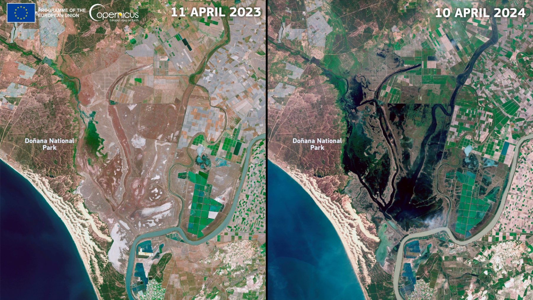 El programa Copernicus ha publicado una imagen que muestra la recuperación de Doñana tras las lluvias de Semana Santa (Foto: Unión Europea. Copernicus. Satélite Sentinel 2)