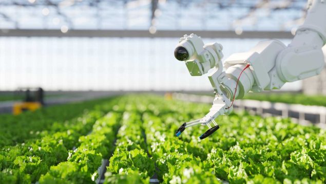 IA y agricultura