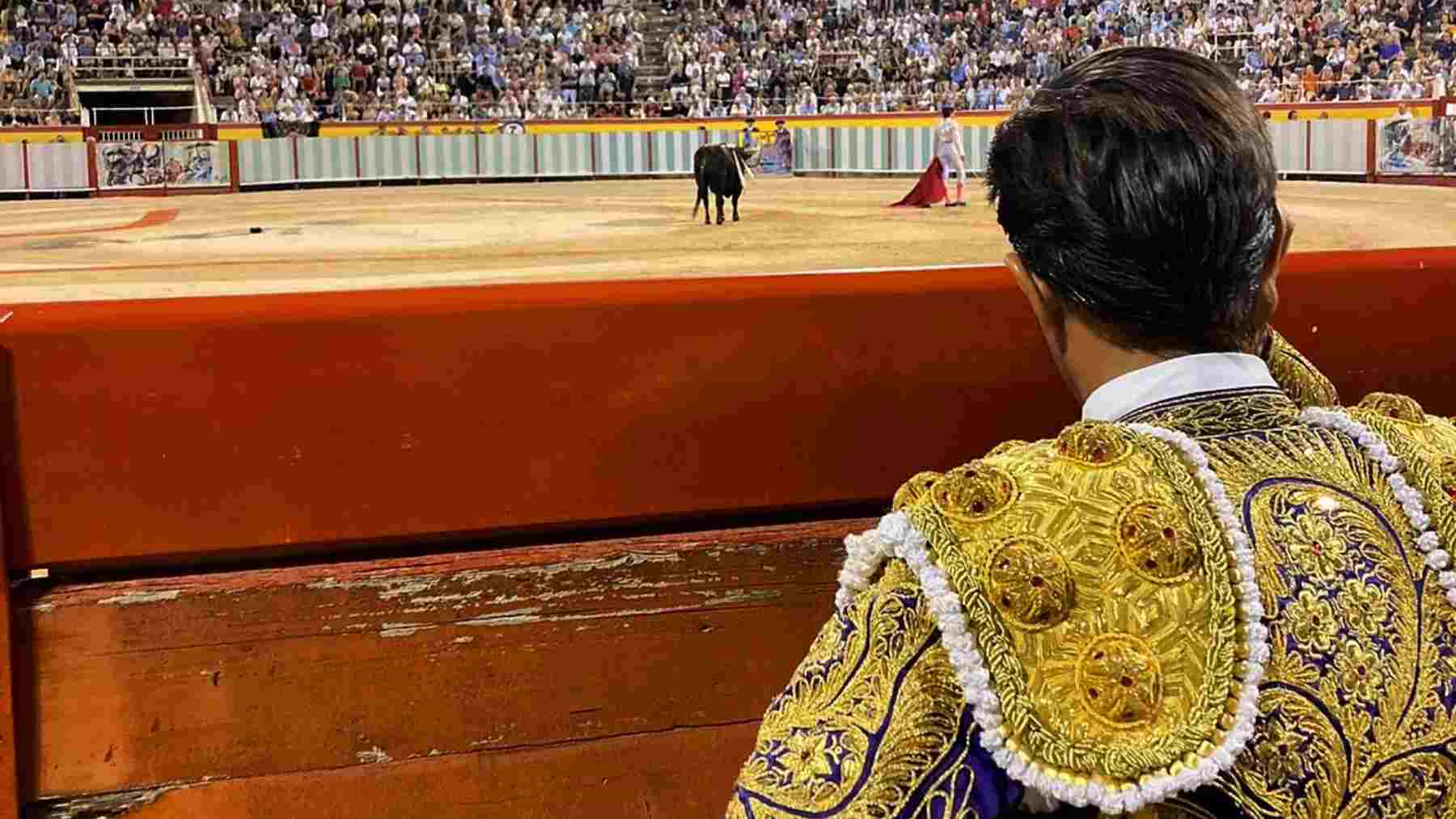 Festejo taurino en la plaza de toros de Palma.