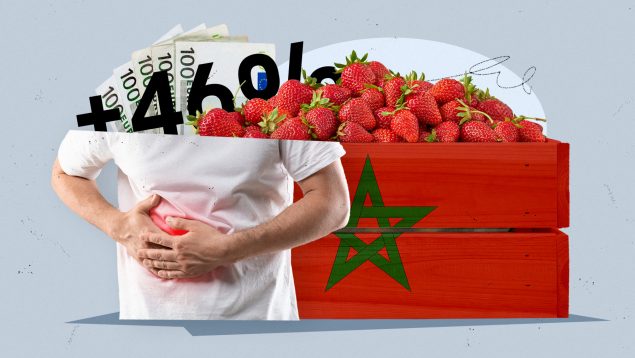 fresa, Marruecos, hepatitis