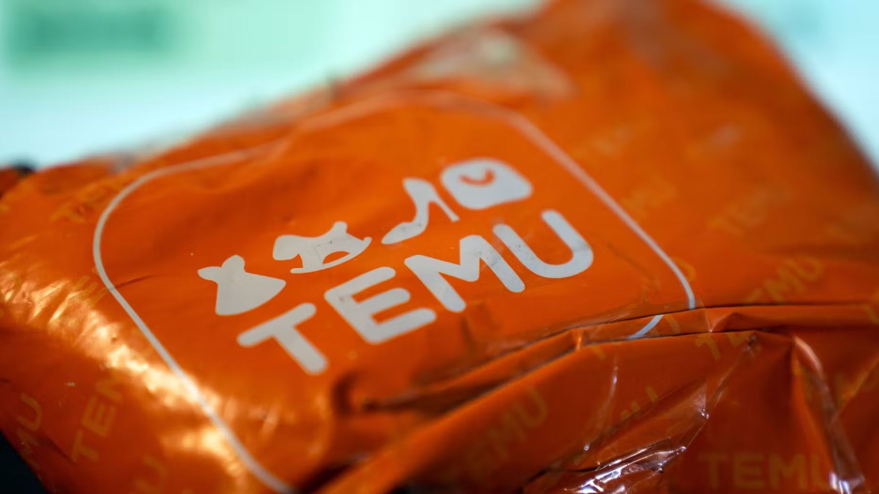 Bolsa de compra de Temu.