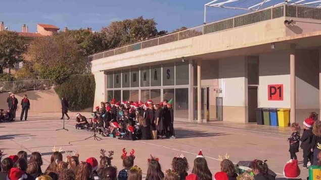 patios colegios palma