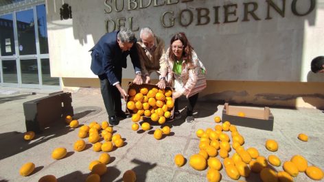 Representantes de los agricultores tiran naranjas al suelo frente a la Subdelegación del Gobierno en Córdoba.