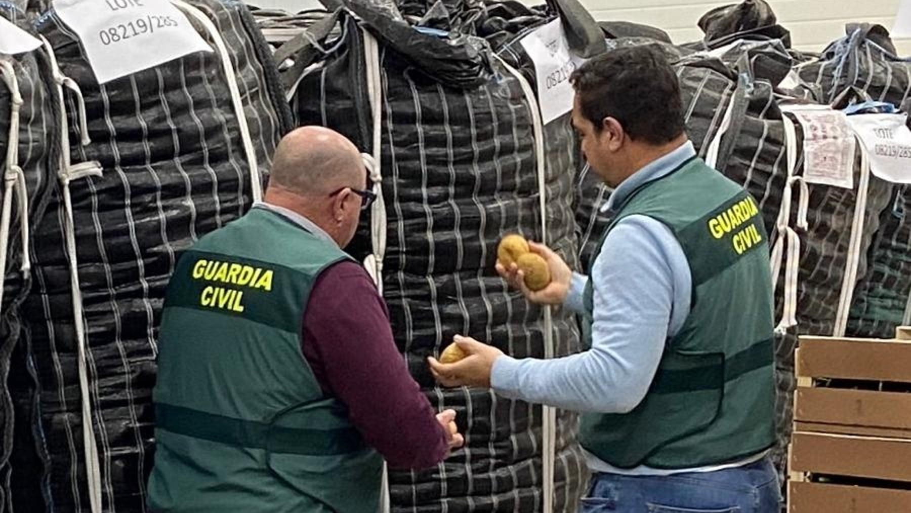 Guardias civiles inspeccionan patatas etiquetadas fraudulentamente. (Foto: GC)