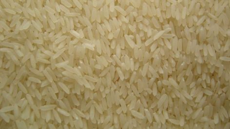 Perdiz al curry con arroz basmati