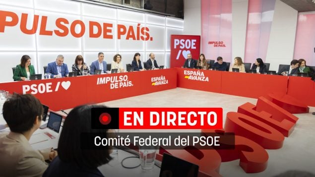 Comité Federal del PSOE directo