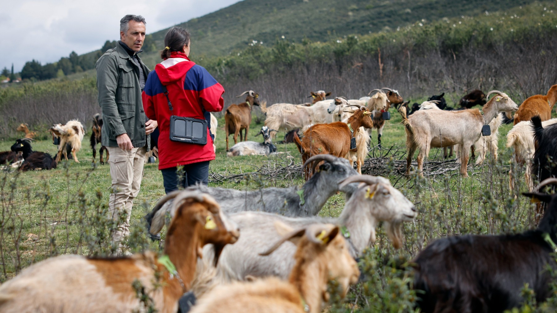 Carlos Novillo con la pastora de Entrelobas, Clara Benito (Foto: Comunidad de Madrid)