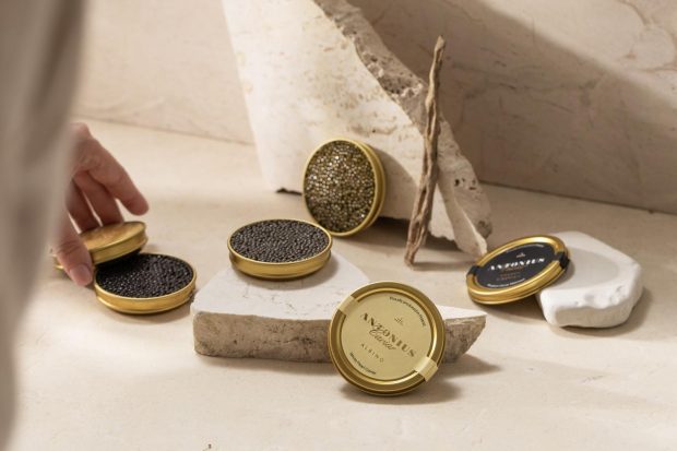 variedades del caviar