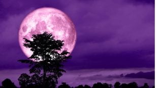 Calendario lunar de mayo de 2024: fases de la luna, eclipses y lluvia de estrellas