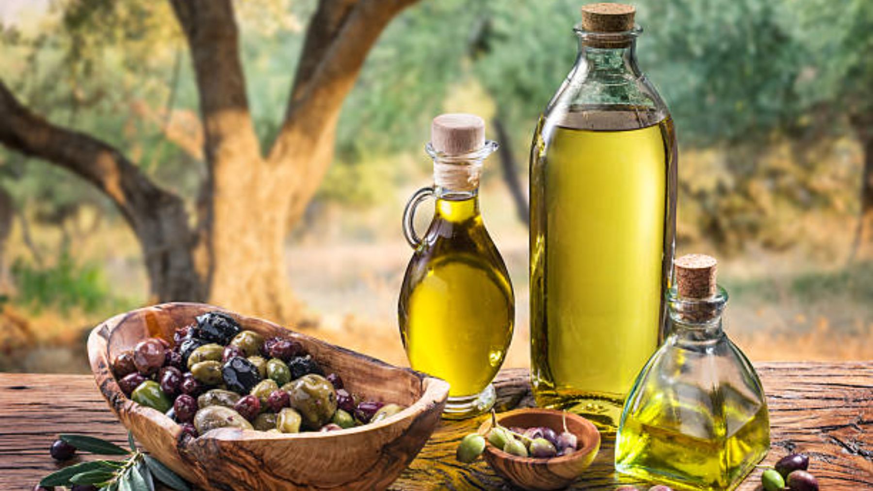 Aceitunas y aceite de oliva sobre fondo de naturaleza.