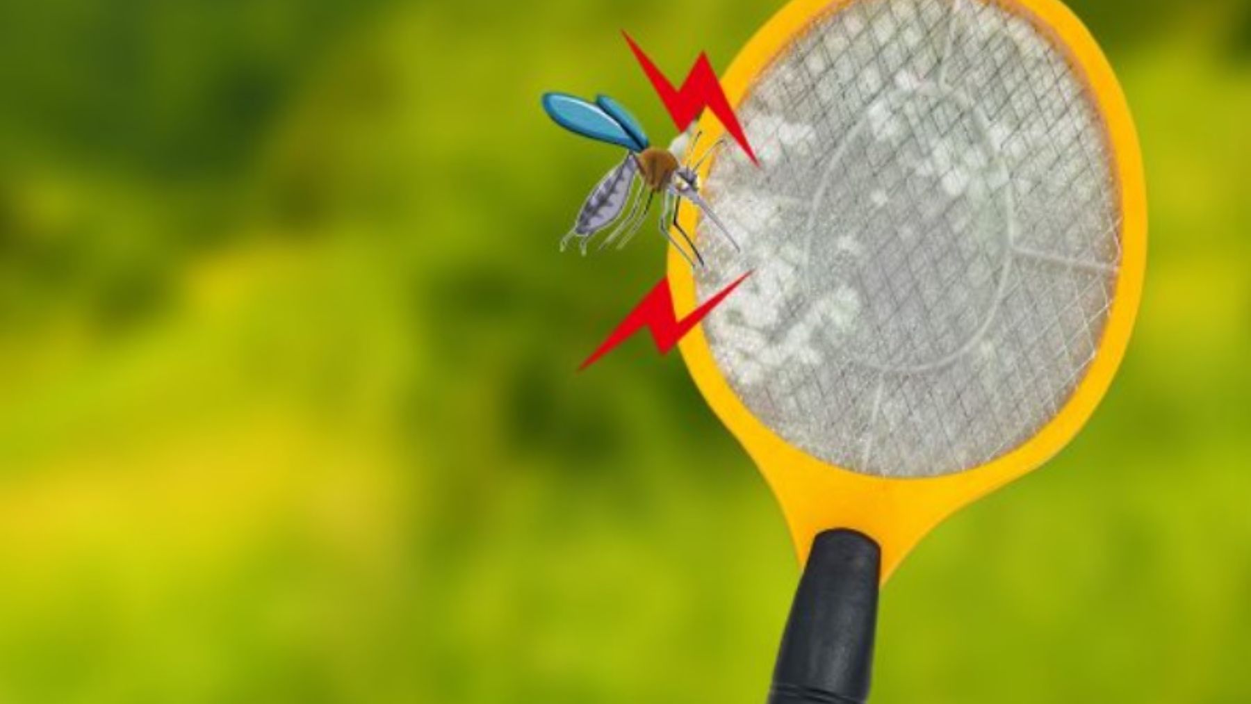 ¡Adios bichos! Acaba con los insectos en casa con la raqueta eléctrica de Aldi por solo 3,99€ 3 Moncloa La raqueta eléctrica de Aldi