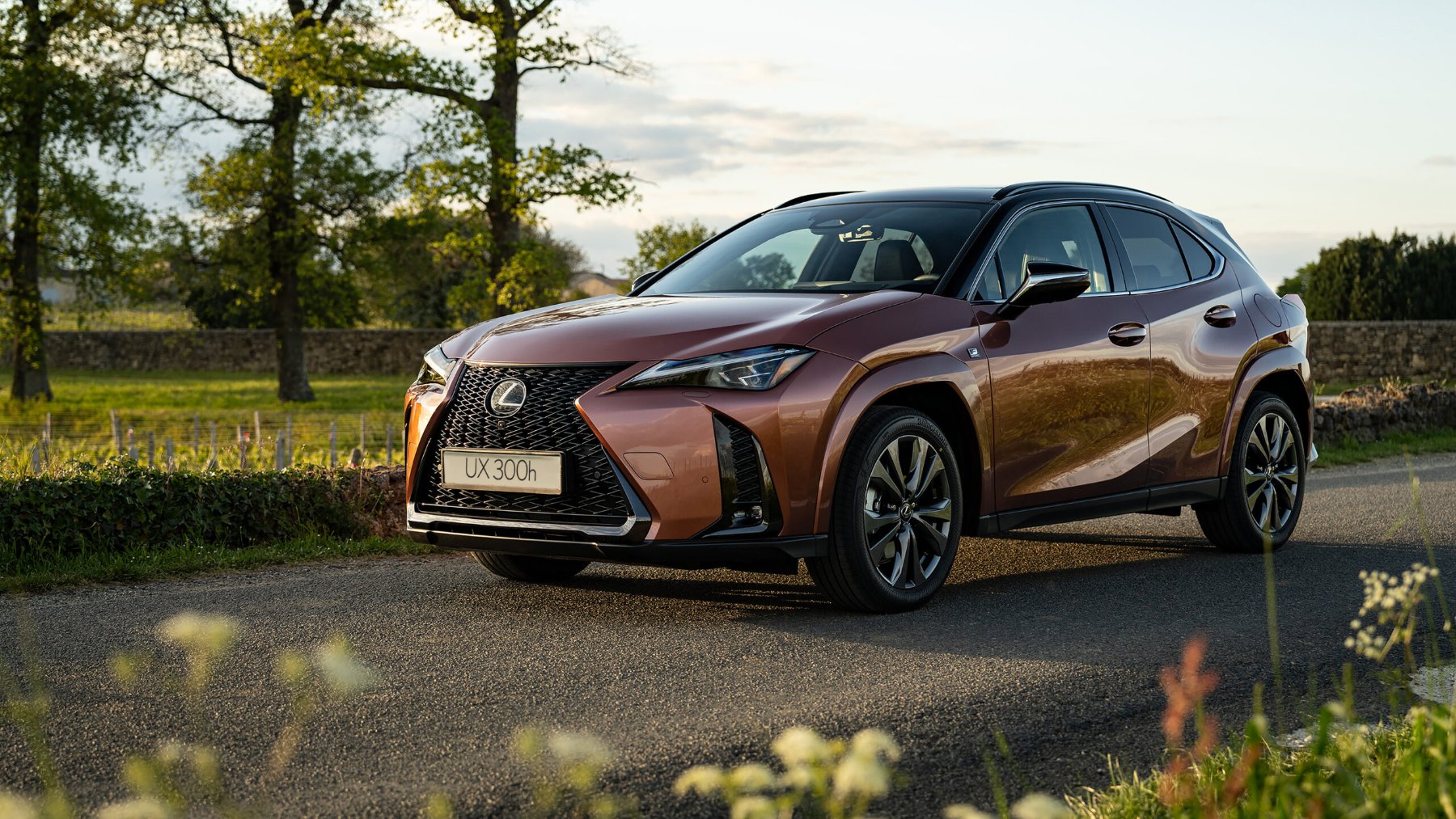 El nuevo lexus UX 300h.