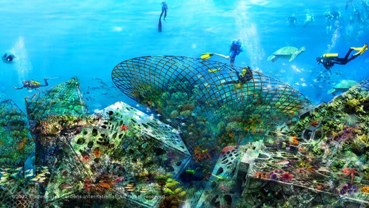 La creación de bosques marinos con arrecifes artificiales inteligentes