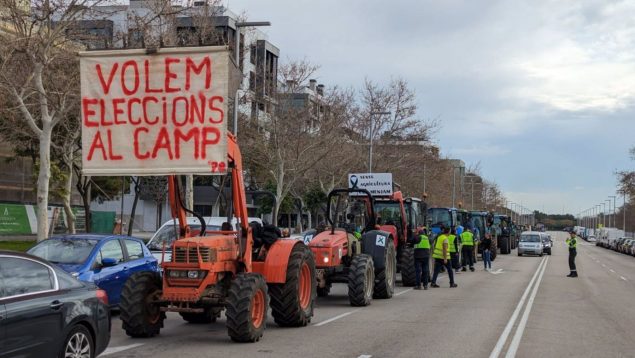 medidas para intentar salvar el sector agrario en Baleares