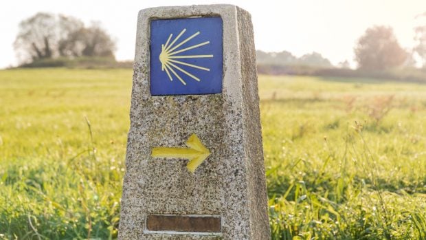 El camino de Santiago