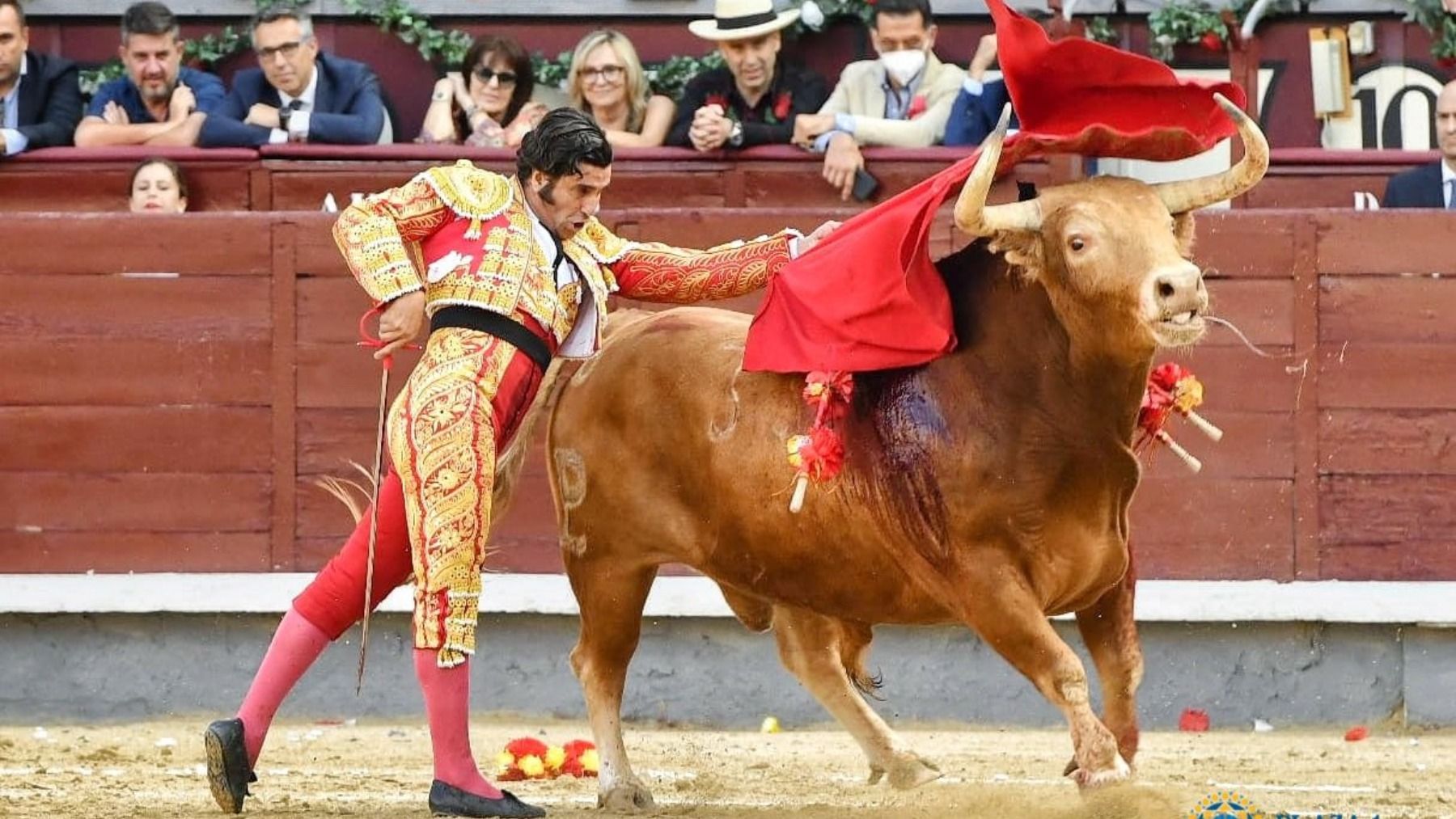 Morante de la Puebla toreando.