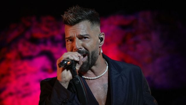 El cantante Ricky Martin.