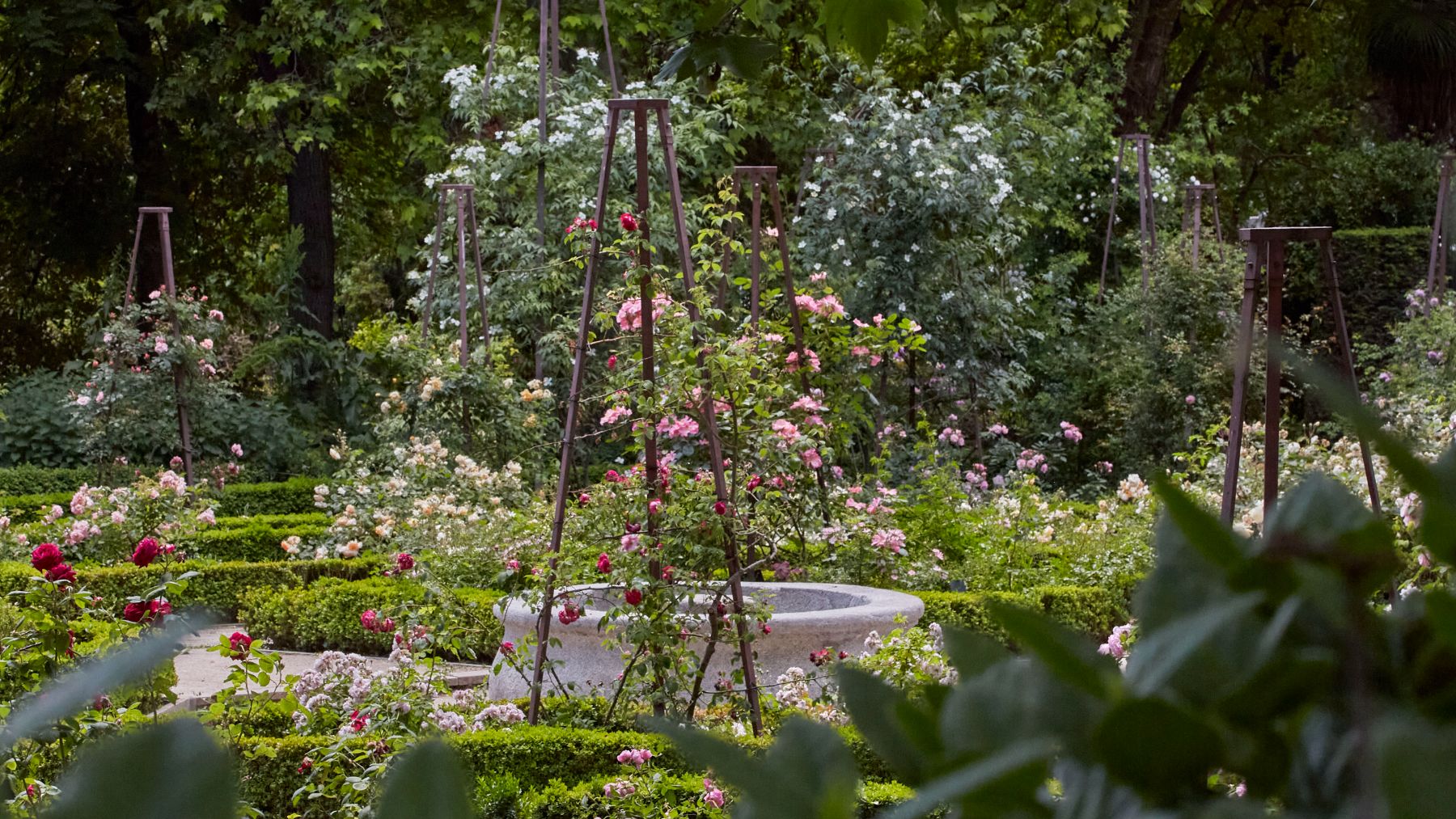 Real Jardín Botánico.