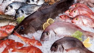 Las señales que indican que el pescado que consumes ya no está fresco