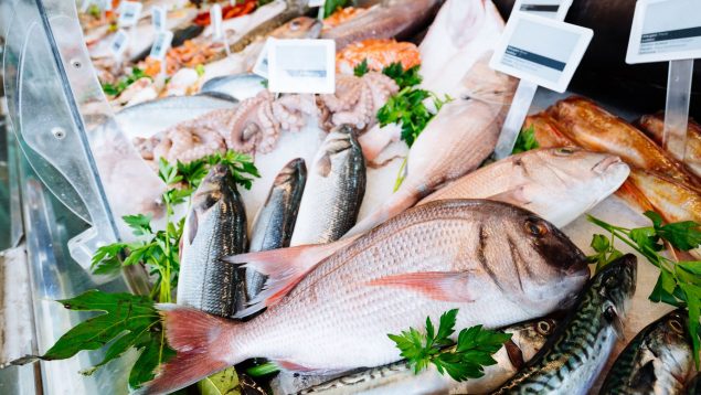 Pescado supermercado, OCU, Mejor pescado, dónde comprar pescado