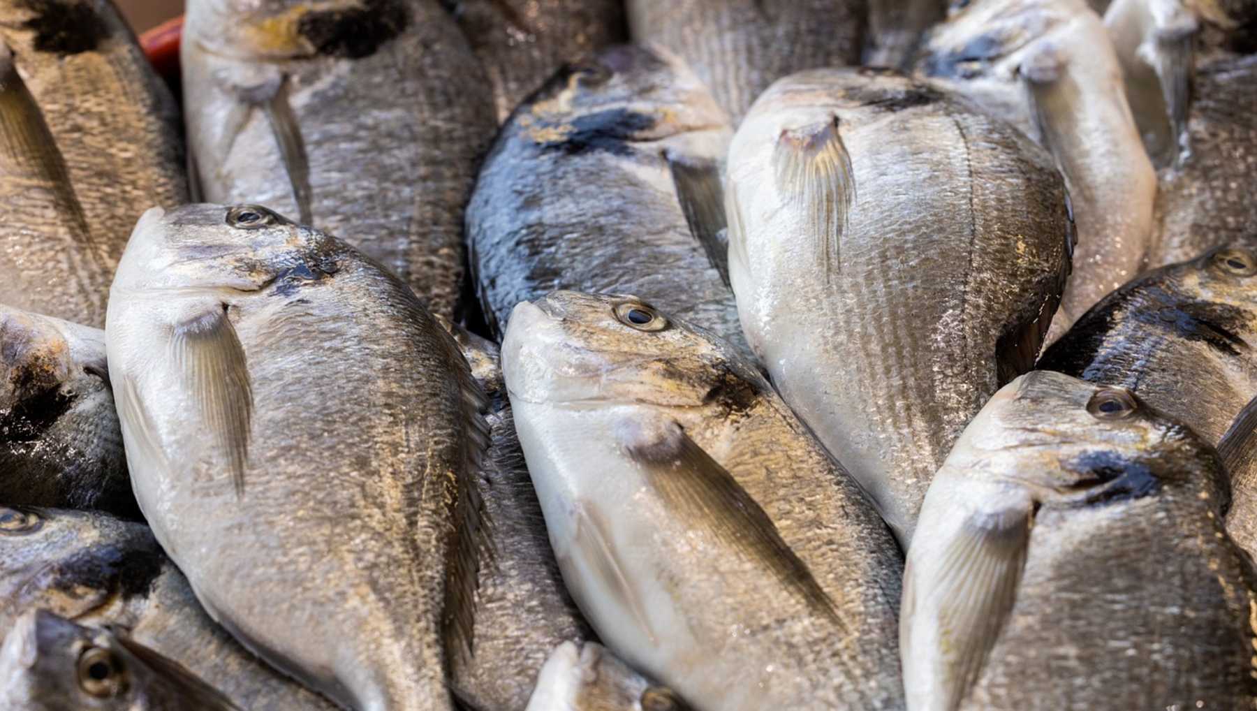 Dorada a la sal en freidora de aire.