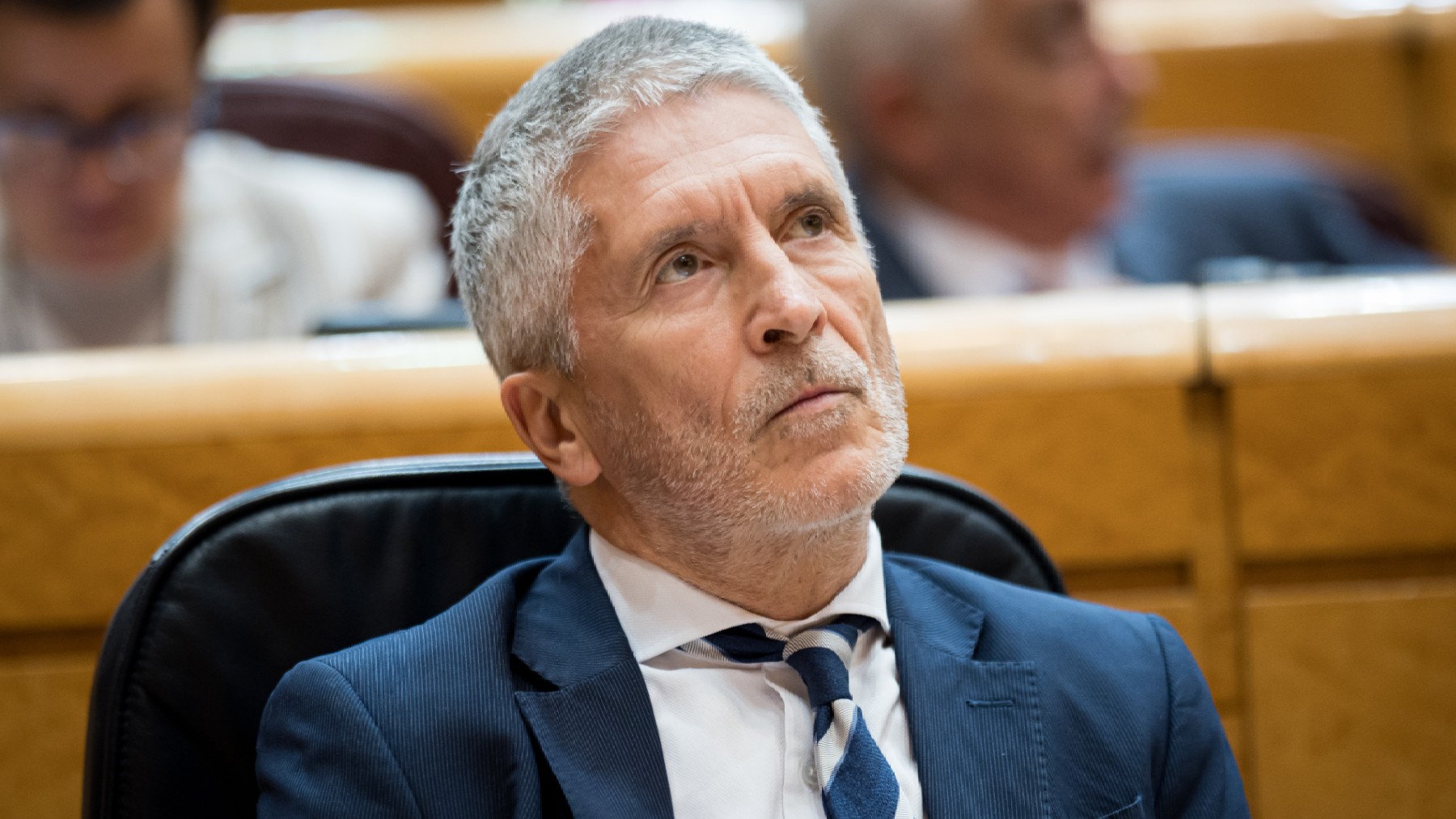 Fernando Grande-Marlaska, ministro de Interior. (Foto_ Europa Press)