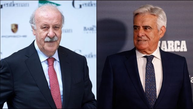 Vicente del Bosque, Pedro Rocha, CSD, FIFA, UEFA, RFEF