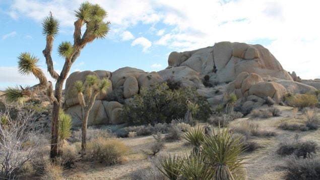 Misterio del desierto de Mojave