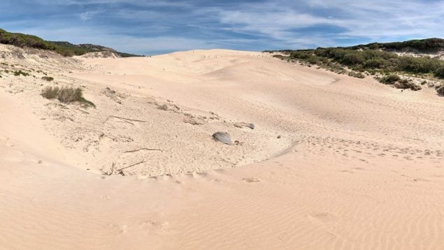 Dunas de Bolonia