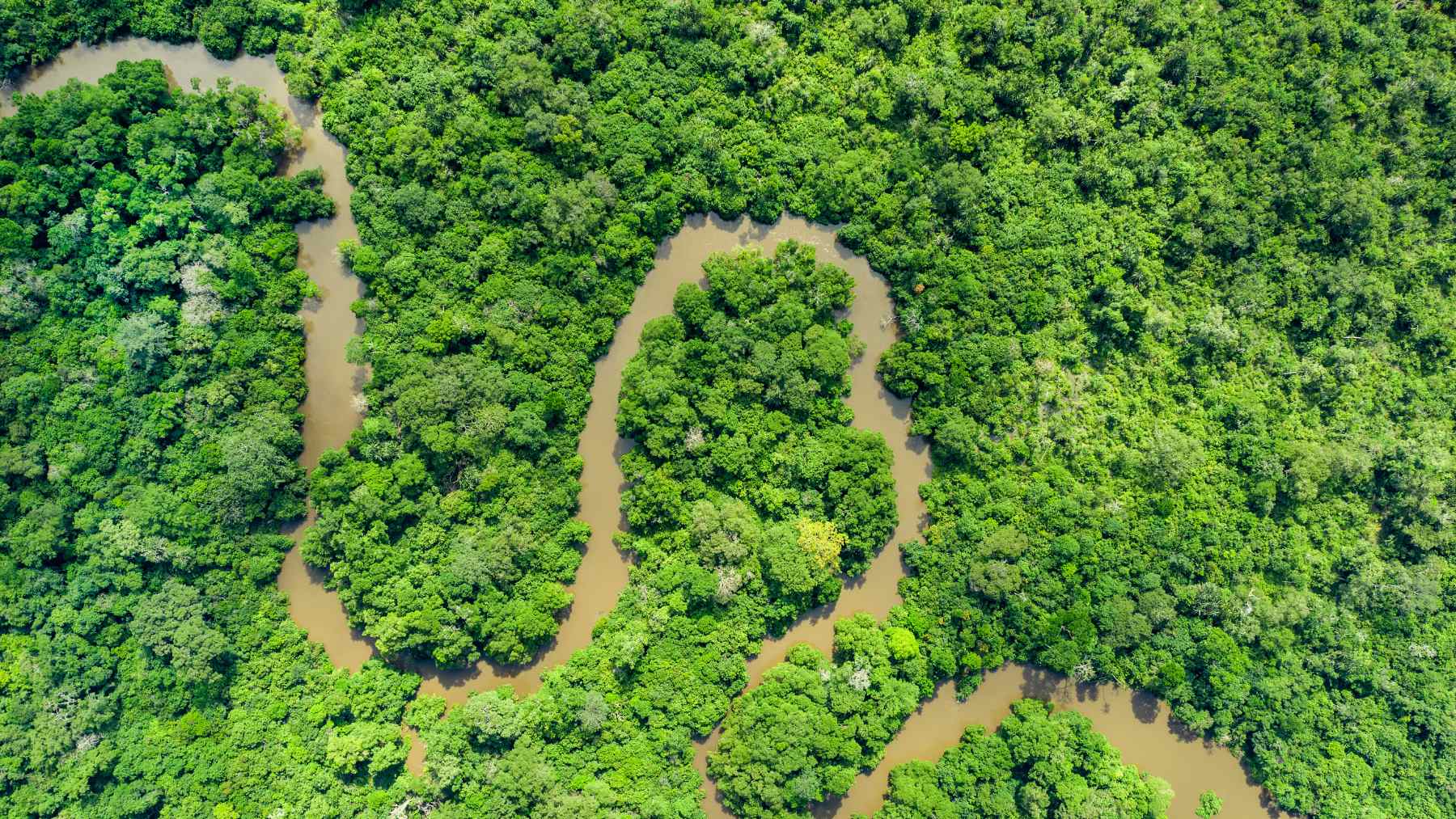 Río Congo.