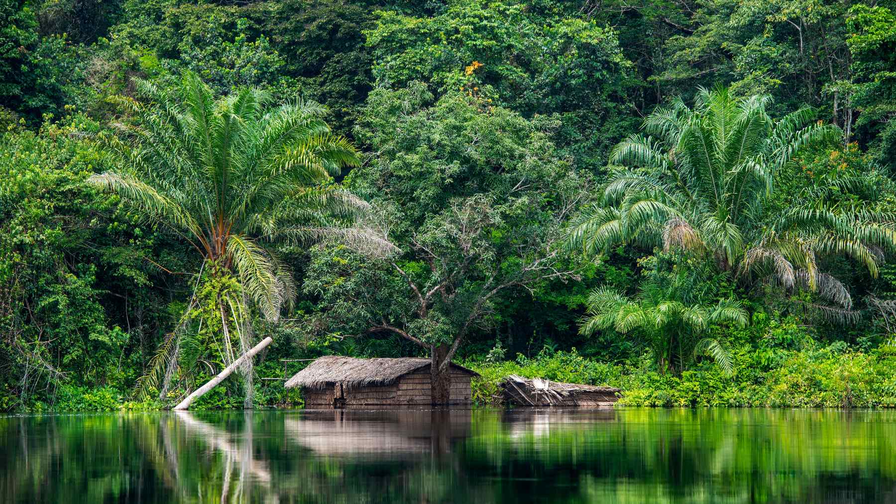 El río Congo es el más peligroso del mundo: pocos sobreviven en sus aguas