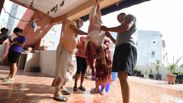 El PSOE pide a Ceuta que intervenga el precio de los corderos para la Pascua islámica del Sacrificio