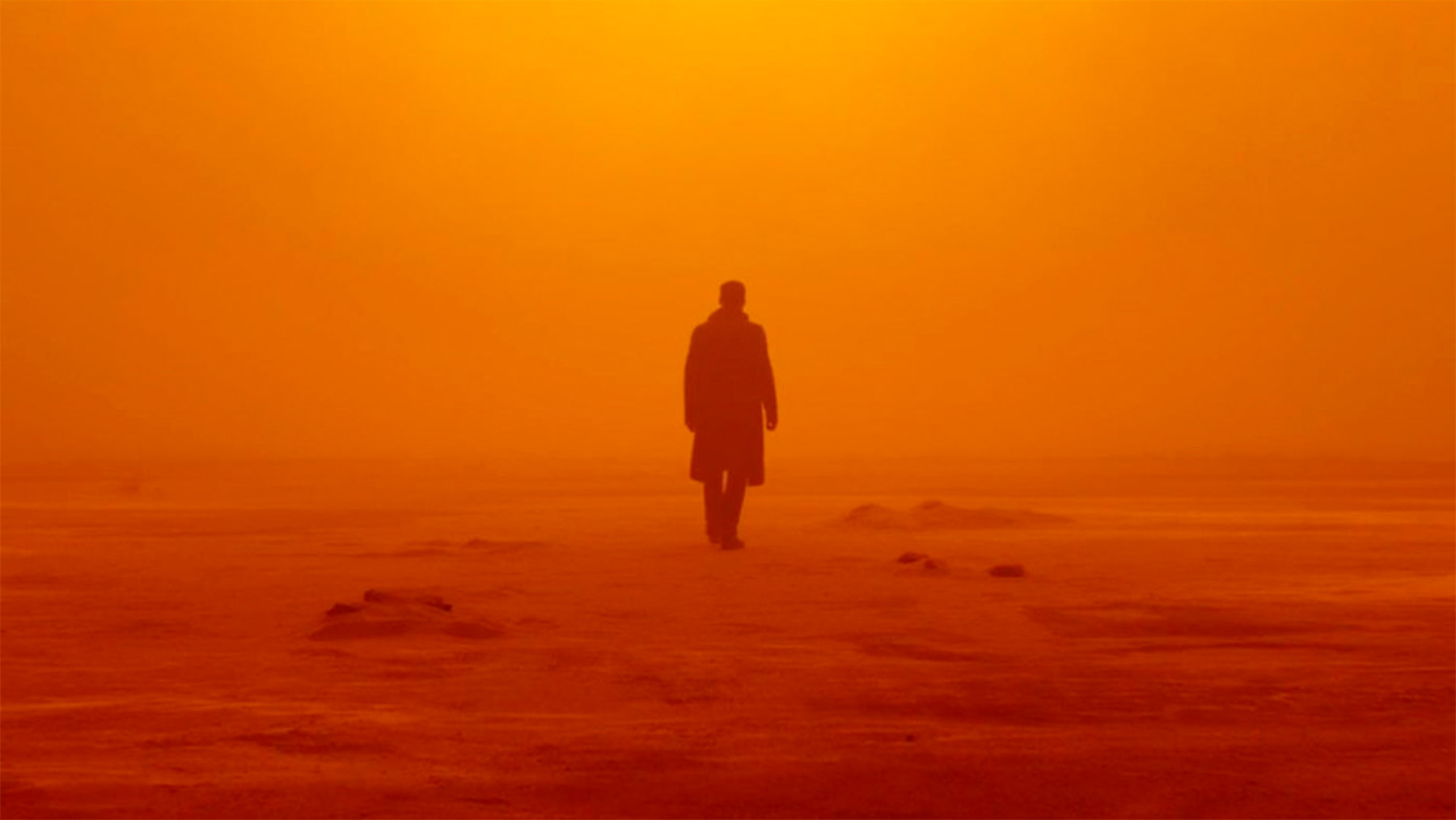 ‘Blade Runner 2049’ (Warner Bros).